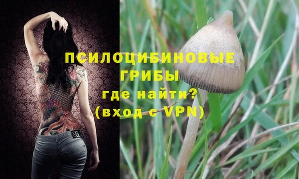винт Богданович