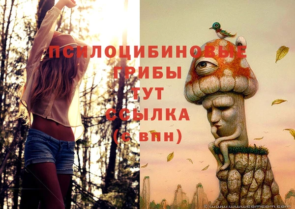 МДПВ Богородицк