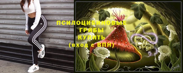 MDMA Богородск