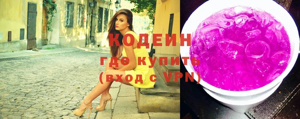 соль ск Ельня