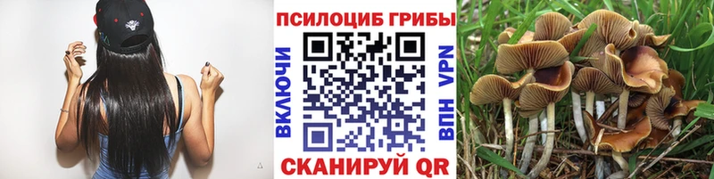 Псилоцибиновые грибы мицелий  купить наркоту  Корсаков 